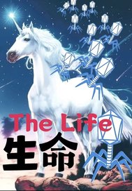 ������������